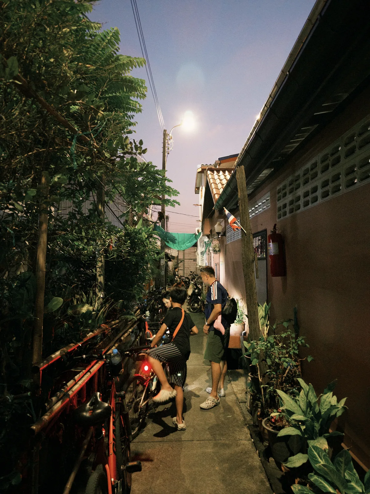 Alley at dusk