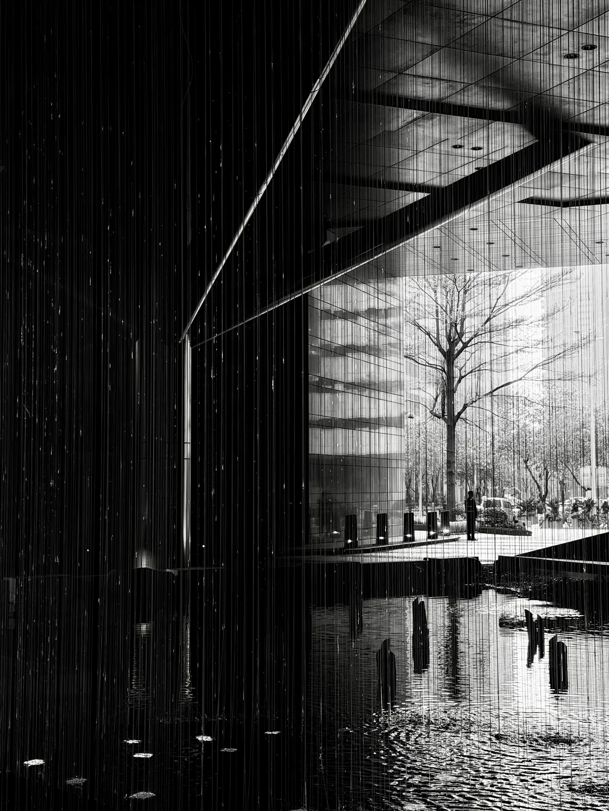 Atrium, black and white