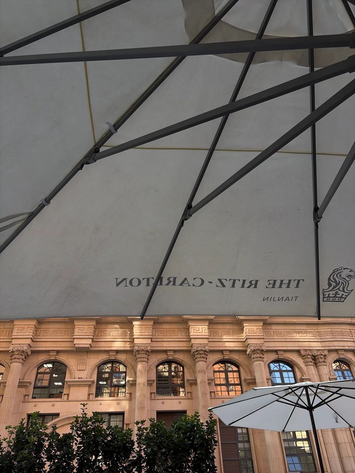Under the umbrella